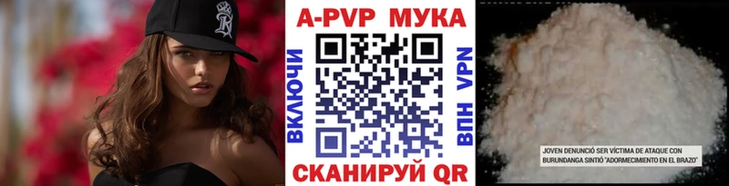 A-PVP СК  Няндома 