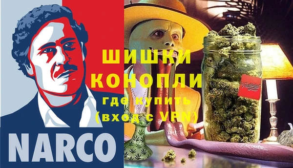ПСИЛОЦИБИНОВЫЕ ГРИБЫ Богородицк