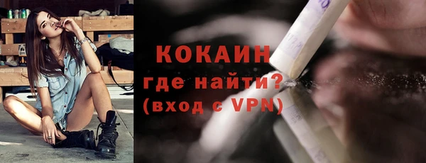 ПСИЛОЦИБИНОВЫЕ ГРИБЫ Богданович