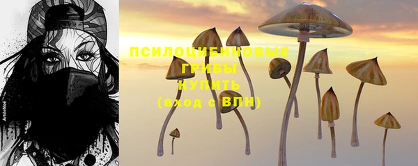 ПСИЛОЦИБИНОВЫЕ ГРИБЫ Богданович