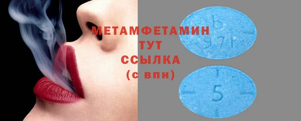 ПСИЛОЦИБИНОВЫЕ ГРИБЫ Богданович