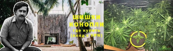 ПСИЛОЦИБИНОВЫЕ ГРИБЫ Богданович