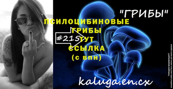 экстази Богородск