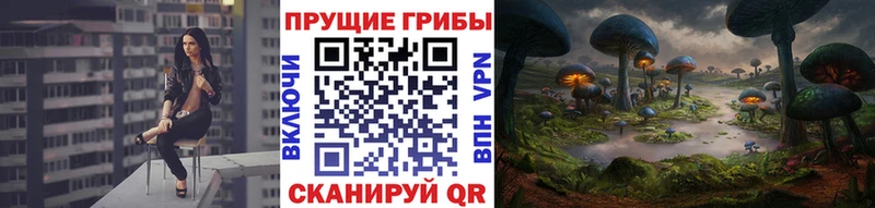 Галлюциногенные грибы MAGIC MUSHROOMS  Няндома 